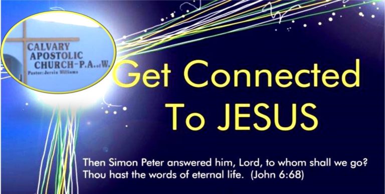 91152023 2641232702652280 1989044404689567744 o 1 768x388